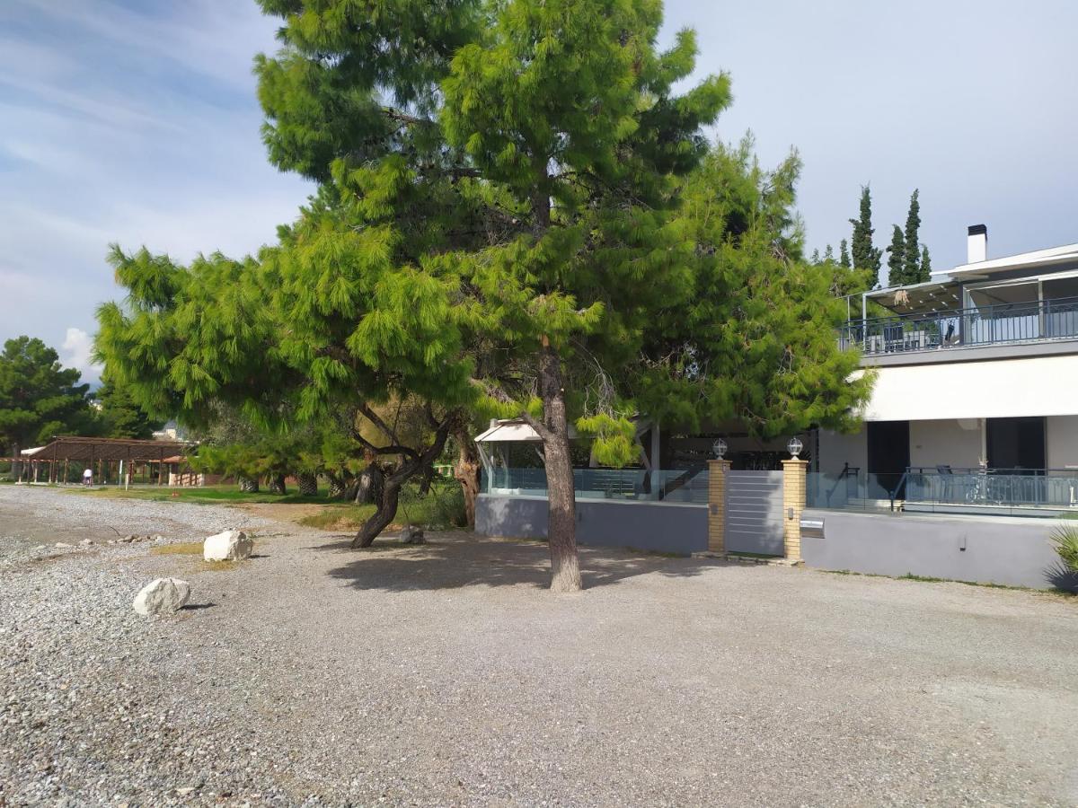 Kalafatis Beach Home Itea Exterior foto